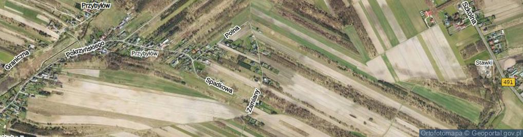 Zdjęcie satelitarne Zamiany ul.