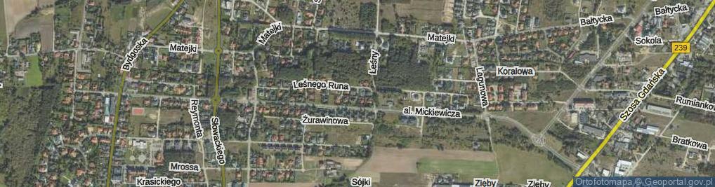 Zdjęcie satelitarne Zaułek Poziomkowy ul.