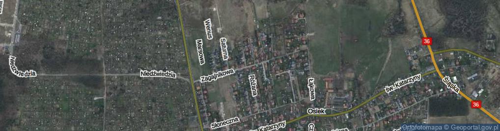 Zdjęcie satelitarne Zagajnikowa ul.