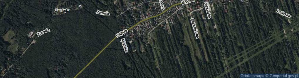 Zdjęcie satelitarne Żabia ul.