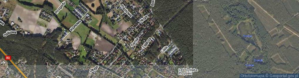 Zdjęcie satelitarne Zajęcza ul.