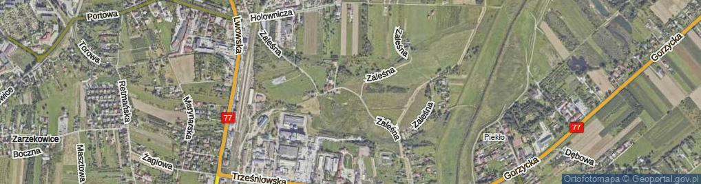 Zdjęcie satelitarne Zaleśna ul.