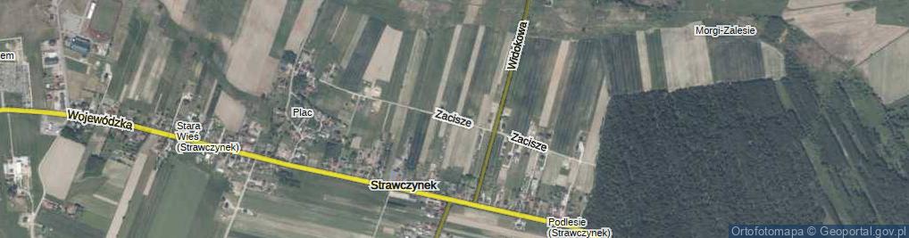 Zdjęcie satelitarne Zacisze ul.