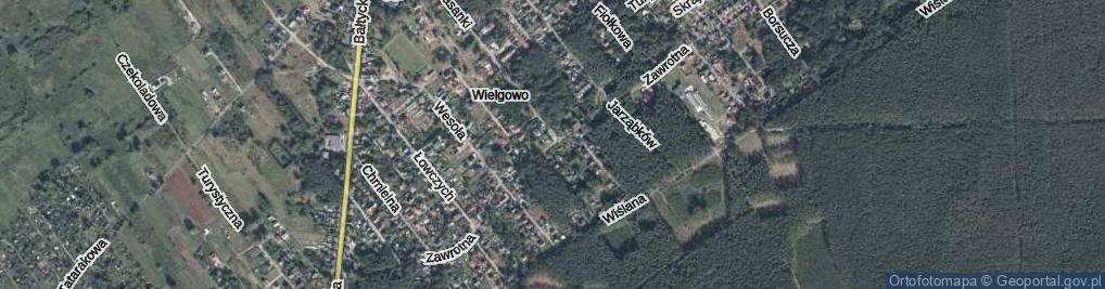 Zdjęcie satelitarne Zawrotna ul.