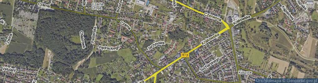 Zdjęcie satelitarne Zawilcowa ul.