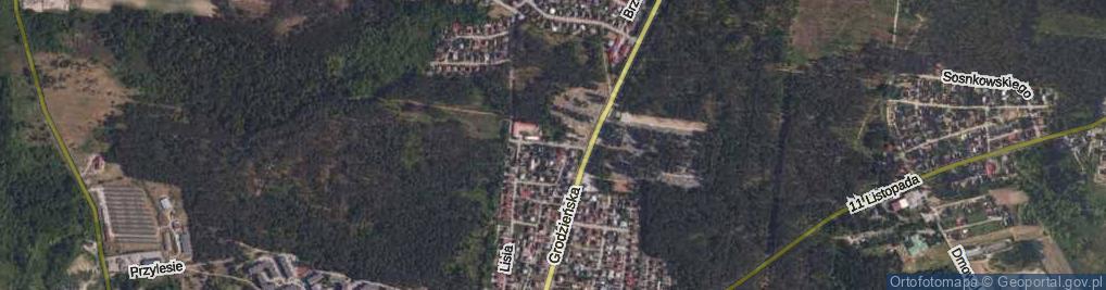 Zdjęcie satelitarne Zajęcza ul.