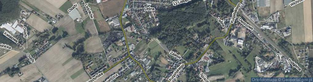 Zdjęcie satelitarne Zalesie ul.