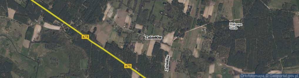Zdjęcie satelitarne Zabiełłów ul.