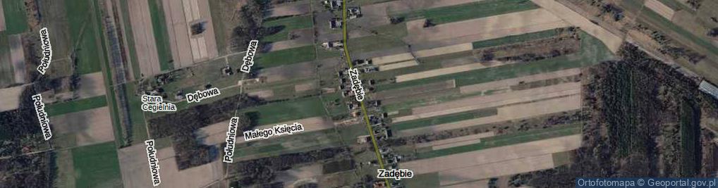 Zdjęcie satelitarne Zadębie ul.