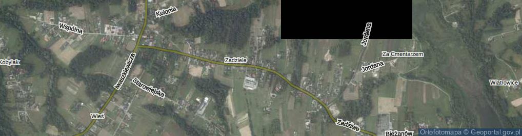 Zdjęcie satelitarne Zadziele ul.