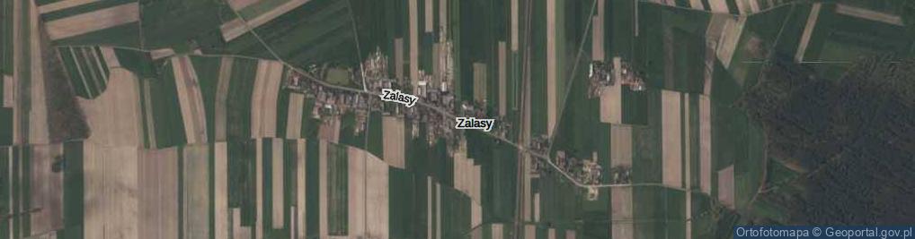 Zdjęcie satelitarne Zalasy ul.