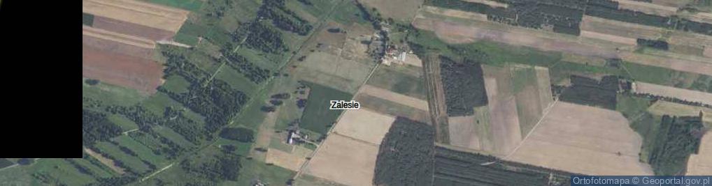 Zdjęcie satelitarne Zalesie ul.