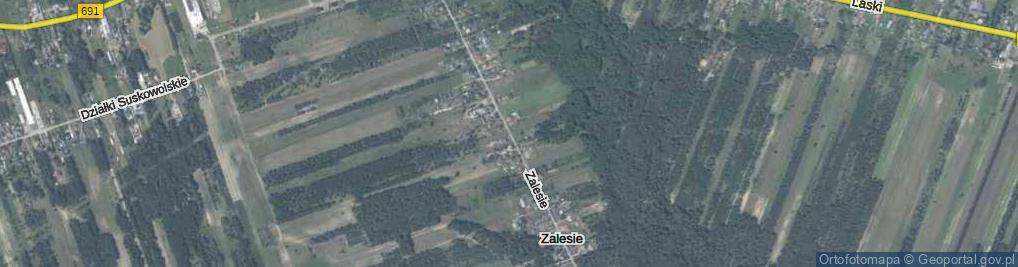 Zdjęcie satelitarne Zalesie ul.