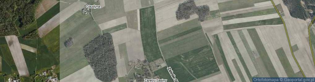 Zdjęcie satelitarne Zalesie-Stefanowo ul.