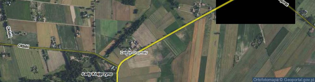 Zdjęcie satelitarne Zalesie-Grzymały ul.