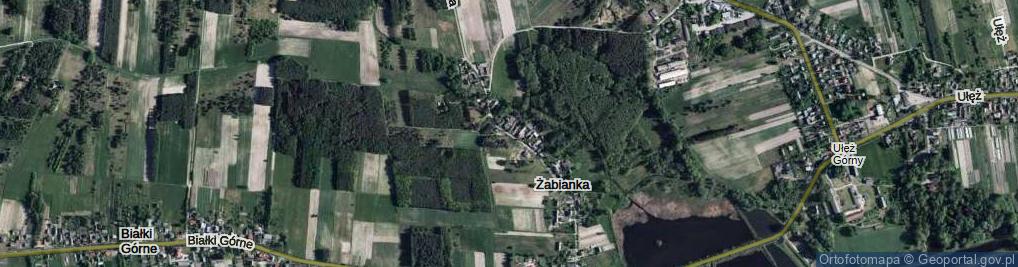 Zdjęcie satelitarne Żabianka ul.