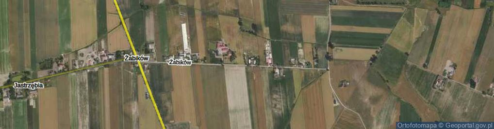 Zdjęcie satelitarne Żabików ul.