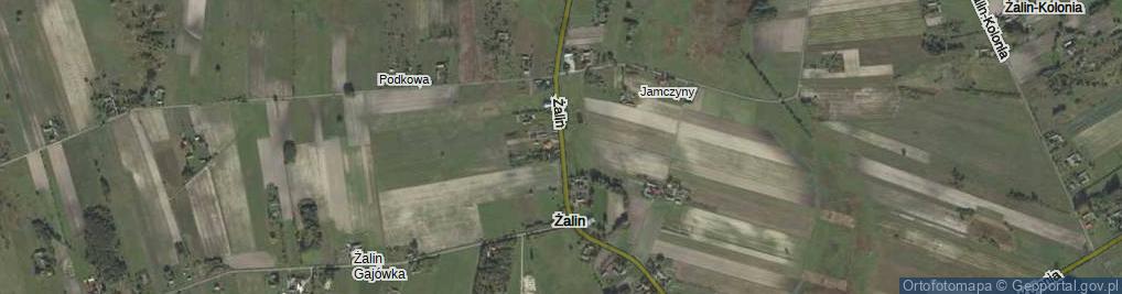 Zdjęcie satelitarne Żalin ul.