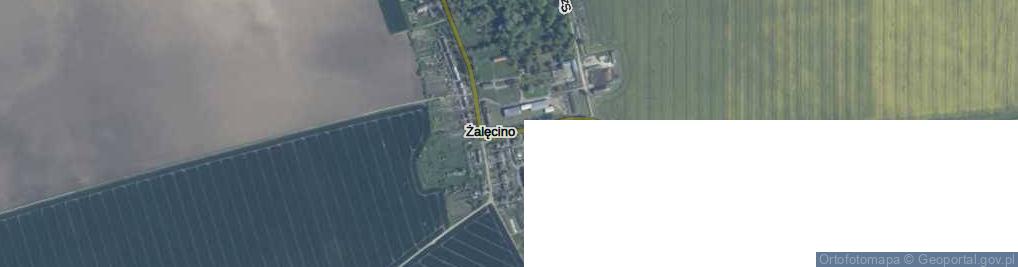 Zdjęcie satelitarne Żalęcino ul.