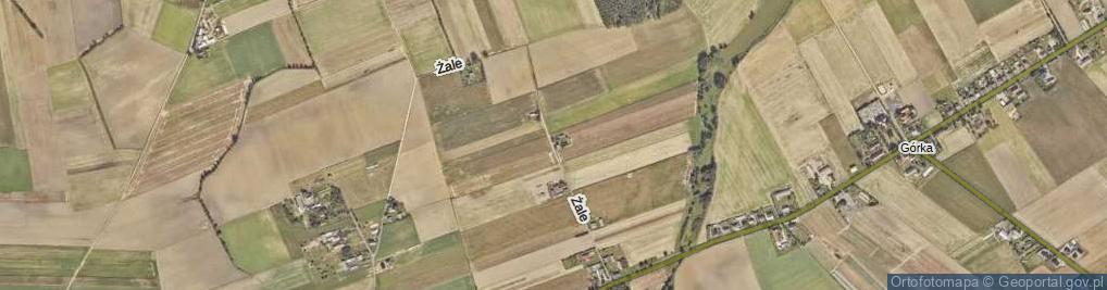 Zdjęcie satelitarne Żale ul.