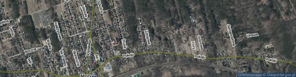 Zdjęcie satelitarne Zdrojowa ul.