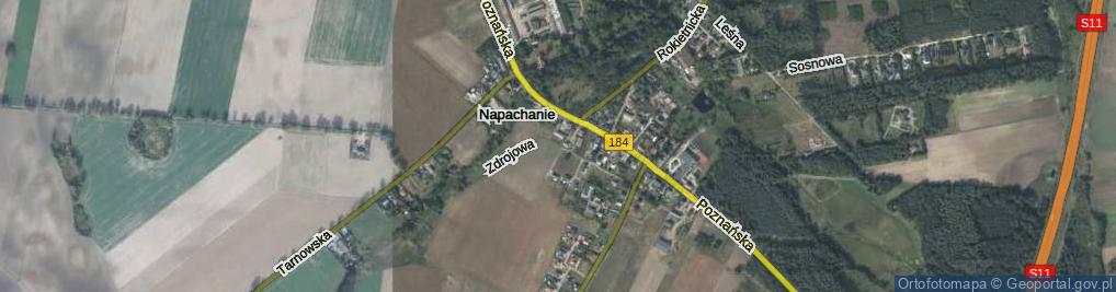 Zdjęcie satelitarne Zdrojowa ul.