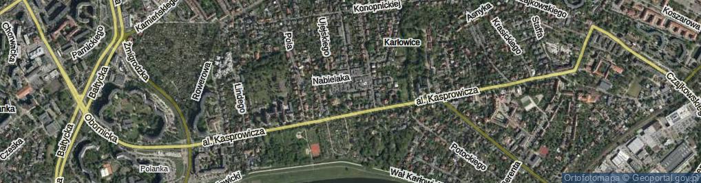 Zdjęcie satelitarne Zelenaya Tadeusza ul.