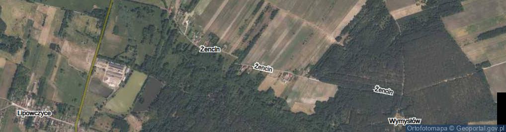 Zdjęcie satelitarne Żencin ul.