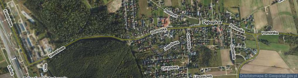 Zdjęcie satelitarne Zielna ul.