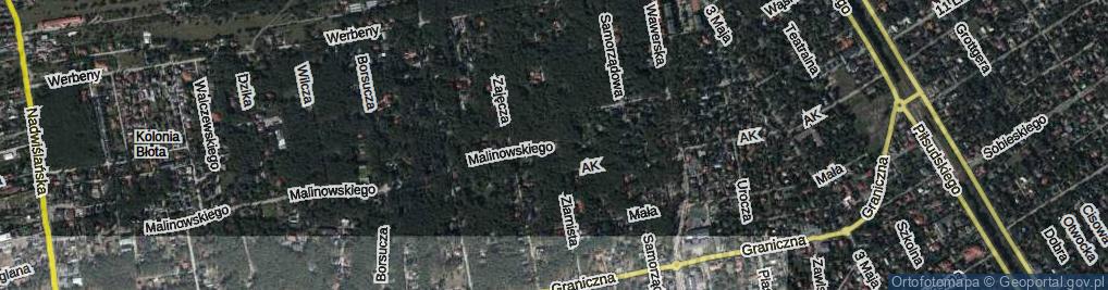 Zdjęcie satelitarne Ziarnista ul.
