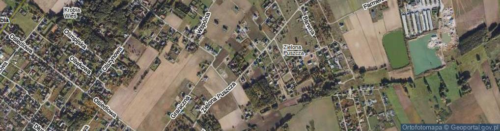 Zdjęcie satelitarne Zielona Puszcza ul.