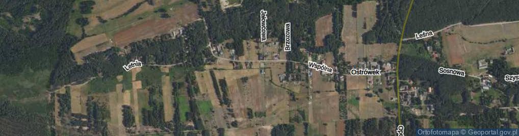 Zdjęcie satelitarne Zielna ul.