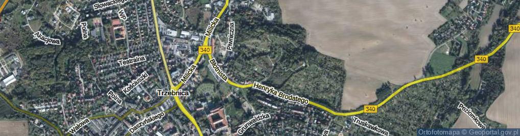 Zdjęcie satelitarne Zielone Wzgórze ul.