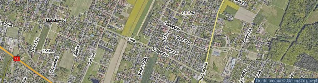 Zdjęcie satelitarne Zielona ul.