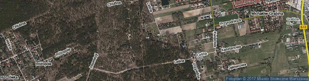 Zdjęcie satelitarne Zielony Zagajnik ul.