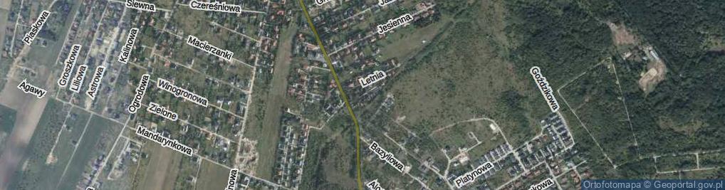Zdjęcie satelitarne Zimowa ul.