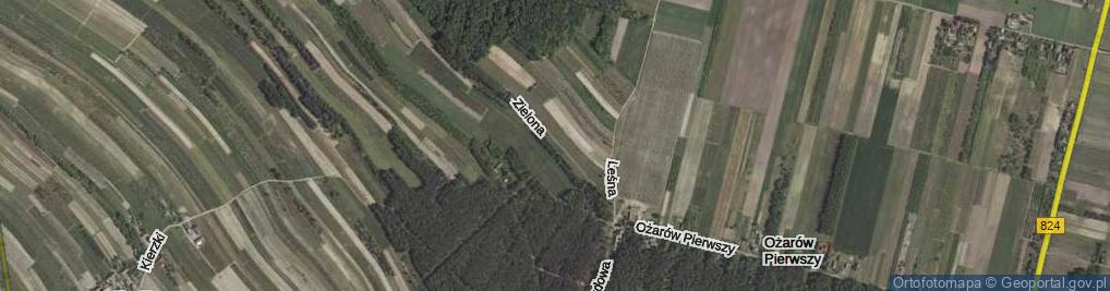 Zdjęcie satelitarne Zielona ul.