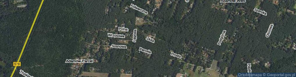 Zdjęcie satelitarne Złota ul.