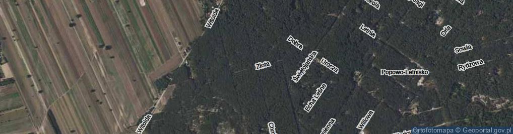 Zdjęcie satelitarne Złota ul.