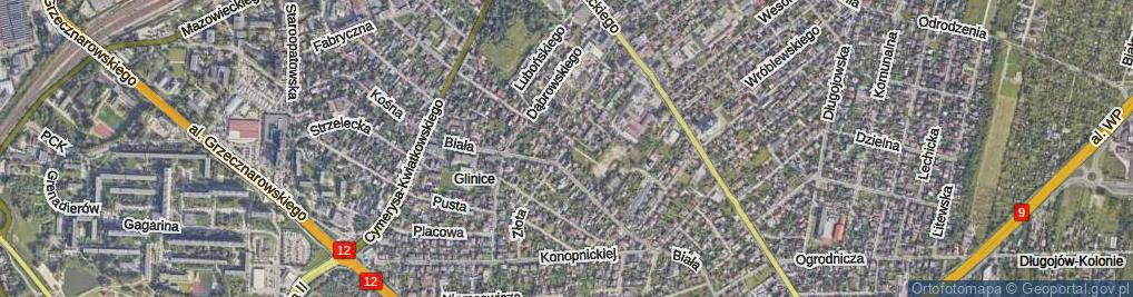 Zdjęcie satelitarne Złota ul.