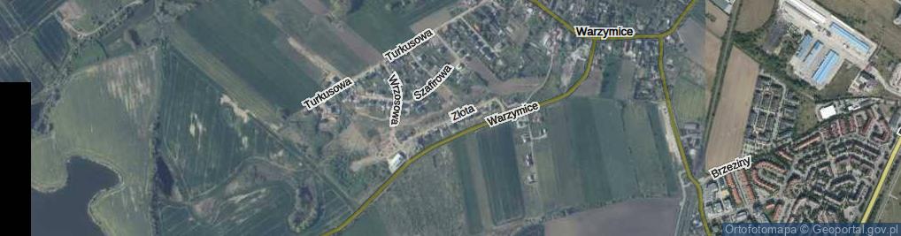 Zdjęcie satelitarne Złota ul.