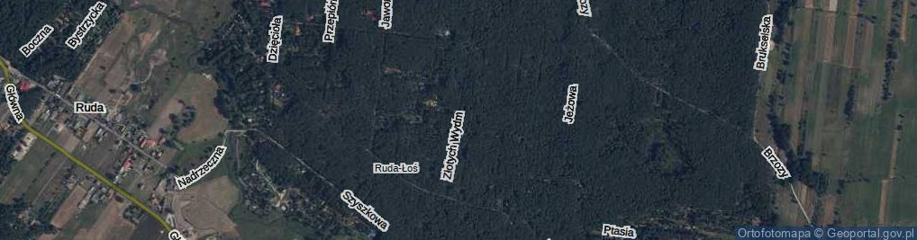 Zdjęcie satelitarne Złotych Wydm ul.