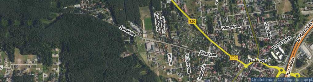 Zdjęcie satelitarne Żółwińska ul.