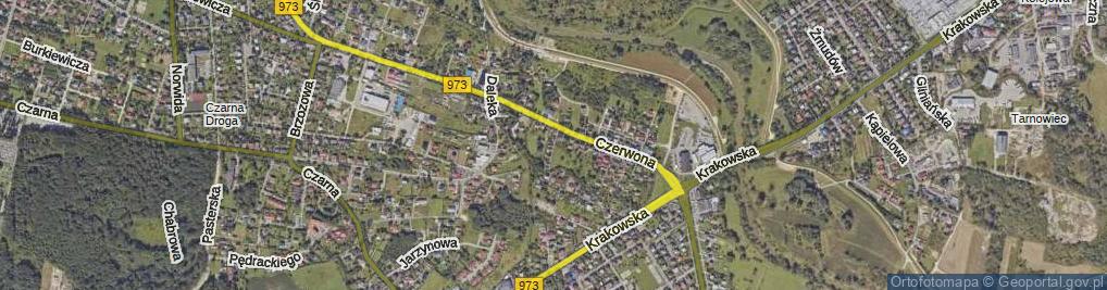 Zdjęcie satelitarne Żółta ul.