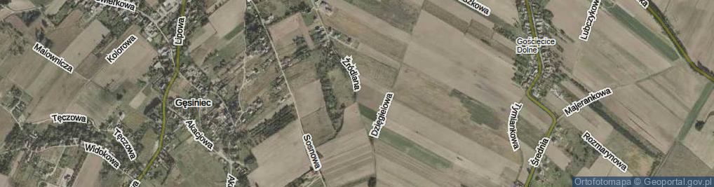 Zdjęcie satelitarne Źródlana ul.
