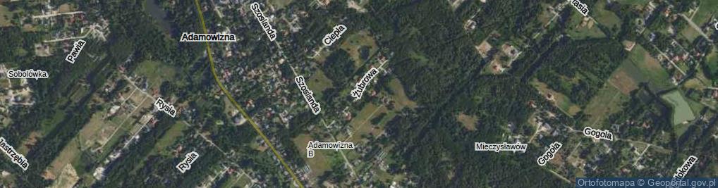 Zdjęcie satelitarne Żubrowa ul.