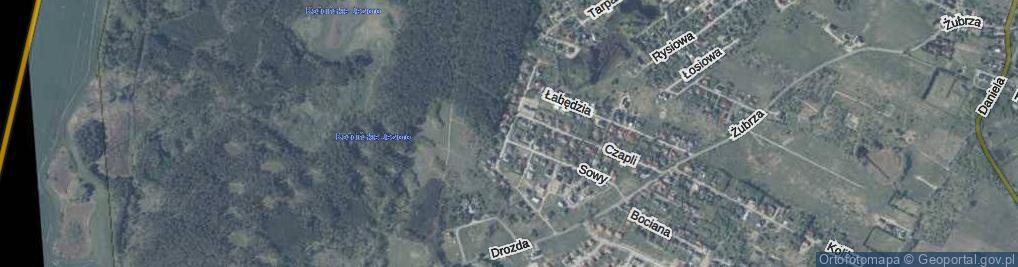 Zdjęcie satelitarne Żurawia ul.