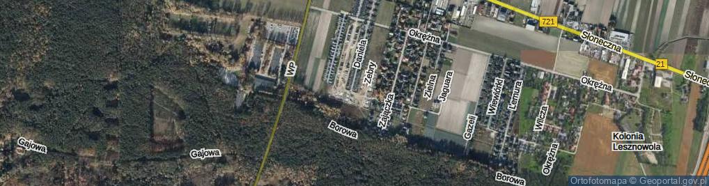 Zdjęcie satelitarne Żubra ul.