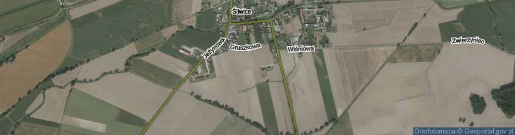 Zdjęcie satelitarne Żurawinowa ul.