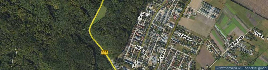 Zdjęcie satelitarne Zuchów ul.